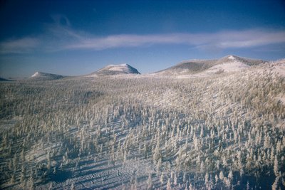 Sibirien im Winterlandschaft über Sümpfe und Wälder, bedeckt mit Schnee von Dean Conger