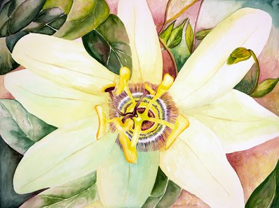 Passionsblume, 2007 von Deborah Eve Alastra