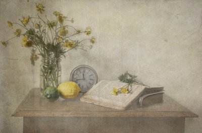 Zeitloses Stillleben von Deborah Gugeri