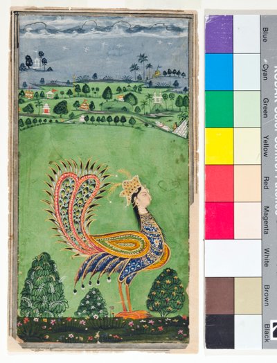 Mythischer Pfau mit einem Frauenkopf von Deccani School
