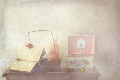 Verblasstes Buch und Spieluhr von Delphine Devos