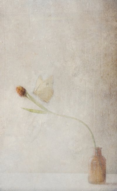 Verblassendes Tulpen-Stillleben von Delphine Devos