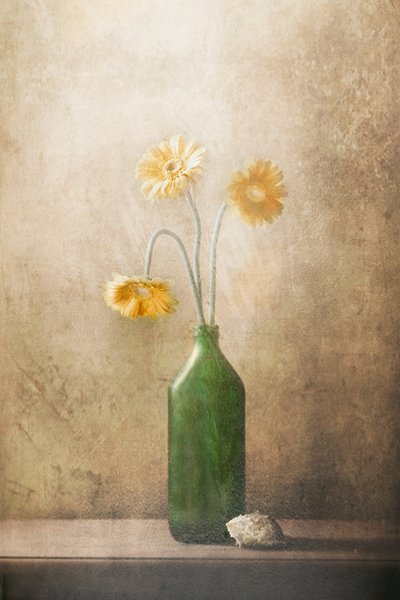 Ruhige Gelbe Blumen von Delphine Devos