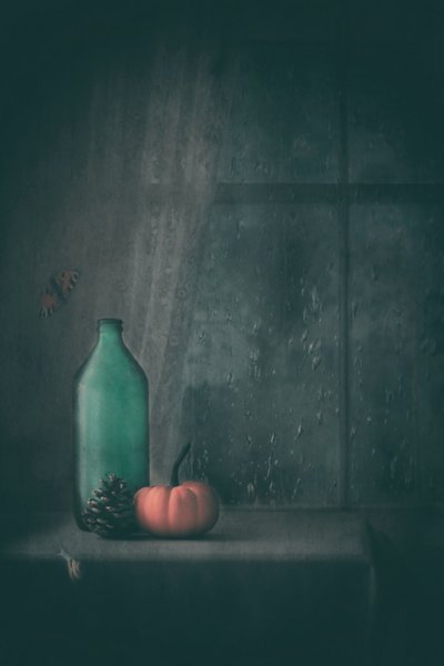 Regnerisches Herbststillleben von Delphine Devos