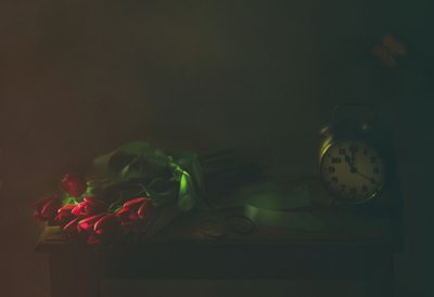 Rote Tulpen und Zeit von Delphine Devos