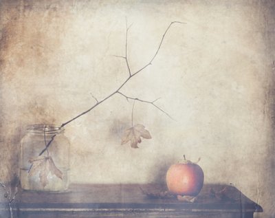 Rustikales Herbst-Stillleben von Delphine Devos
