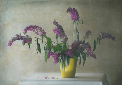 Rustikales Blumen-Stillleben von Delphine Devos