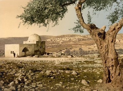 Grab von Rachel, Jerusalem, Heiliges Land, ca. 1890-ca. 1900 von Detroit Photographic Co.