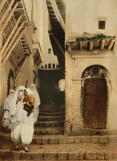Straße der Kamele, Algier, ca. 1899 (Photochrom) von Detroit Publishing Co.