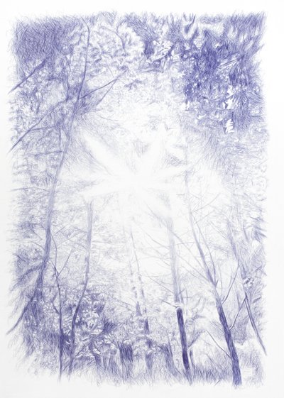 Gegenlicht, 2024 von Diego Beyro