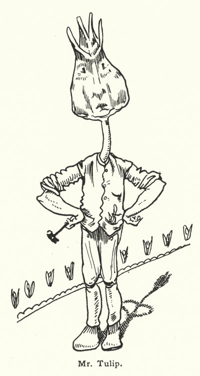 Herr Tulip von Dion Clayton Calthrop