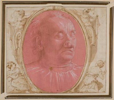 Kopf eines alten Mannes von Domenico Ghirlandaio