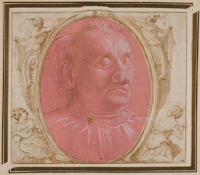 Kopf eines alten Mannes von Domenico Ghirlandaio