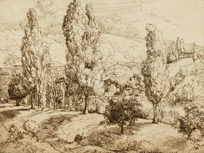 Felder von Asolo von Donald Shaw MacLaughlan