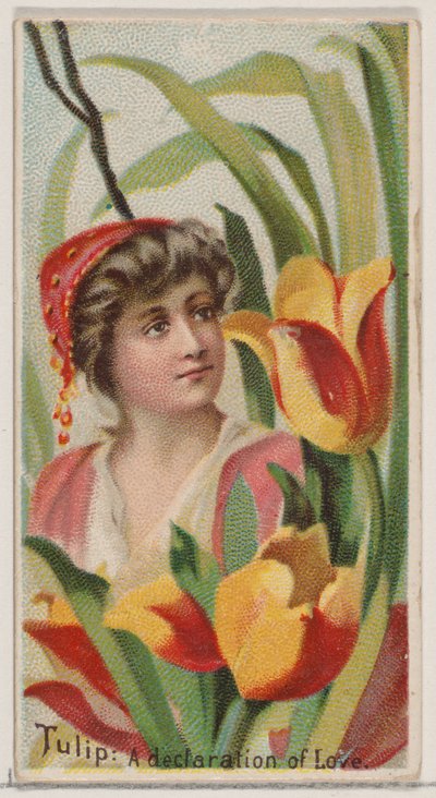 Tulpe: Eine Liebeserklärung, aus der Serie Blumenpracht und Blumensprache N75, 1892 von Donaldson Brothers