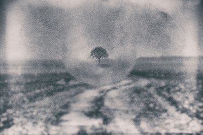Pfad zum einsamen Baum von Dragan Drobac