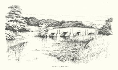 Brücke bei Box Hill von Duncan Moul