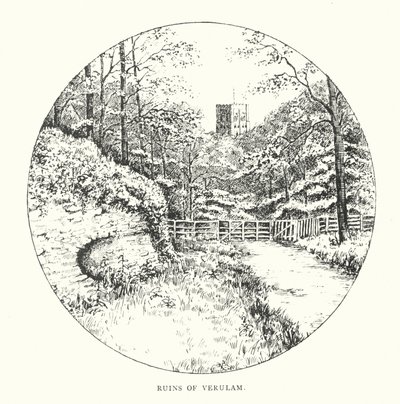 Ruinen von Verulam von Duncan Moul