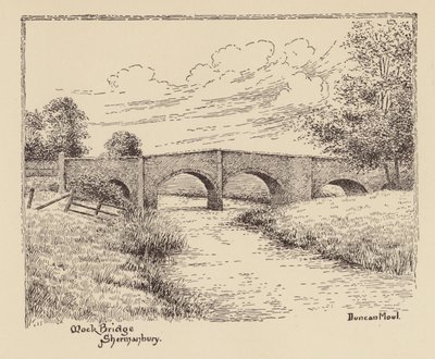 Sussex: Mock Bridge, Shermanbury von Duncan Moul
