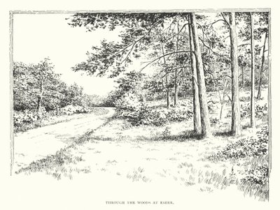 Durch die Wälder bei Esher von Duncan Moul