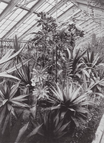 Kew Gardens, um 1900 von E. J. Wallis