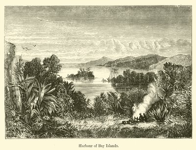 Hafen der Bay Islands von E. Jennings