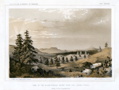 Der Schwarzwald Mount Hope und Sierra Prieta, USA, 1856 von E Stout