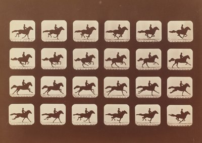 Pferde. Laufen. Phyrne L. Nr. 40, 1879 von Eadweard Muybridge