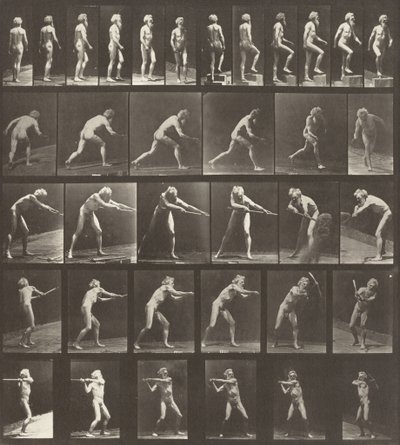Tafel Nummer 521. A: Gehen. B: Eine Stufe hinaufsteigen. C: Den Diskus werfen. D: Eine Schaufel benutzen..., 1887 von Eadweard Muybridge