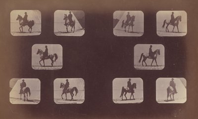 Studien von Verkürzungen. Pferde. Gehen. Mahomet. Nr. 119-120, 1879 von Eadweard Muybridge