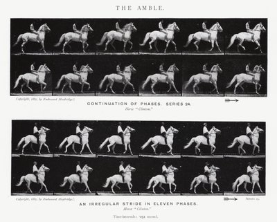 Der Schlendergang von Eadweard Muybridge