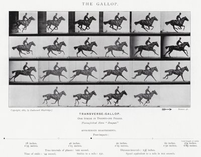 Eadweard Muybridge: Der Galopp (s/w Foto) von Eadweard Muybridge