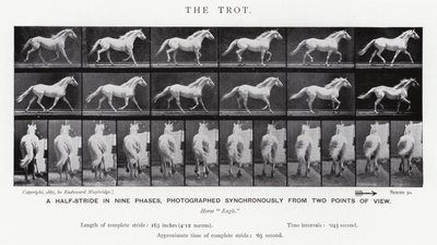 Eadweard Muybridge: Der Trab (s/w Foto) von Eadweard Muybridge