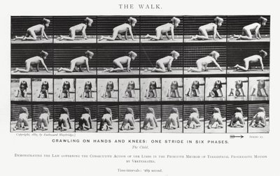 Eadweard Muybridge: Der Gang von Eadweard Muybridge