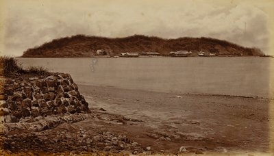 Insel Naos, von Perico, Bucht von Panama von Eadweard Muybridge