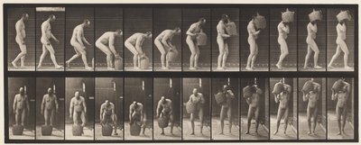 Tafel 218. Bücken und vollen Demijohn auf die Schulter heben von Eadweard Muybridge