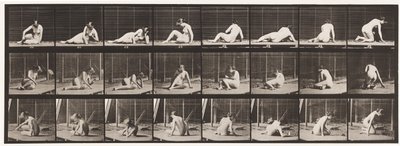 Tafel 266. Sich drehen und Position ändern, während man noch auf dem Boden ist von Eadweard Muybridge