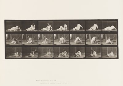 Tafel 267. Umdrehen und Positionswechsel auf dem Boden von Eadweard Muybridge