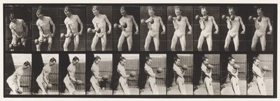 Tafel 324. 50-Pfund-Hantel curlen, Modell, 3/4 Länge von Eadweard Muybridge