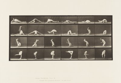 Tafel 510. Verrenkungen auf dem Boden, 1872-1885 von Eadweard Muybridge