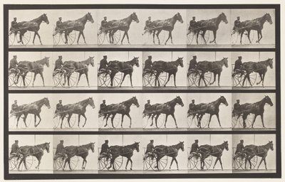 Tafel 587. Gehen; Sulky; Fuchsfarbene Stute Nellie Rose von Eadweard Muybridge