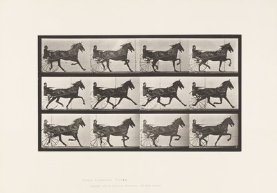 Tafel 606. Trabend; Sulky; Braunes Pferd Reuben von Eadweard Muybridge