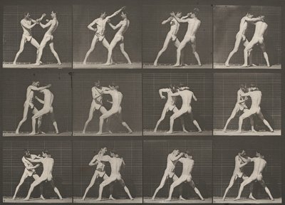 Tafel Nummer 340. Boxen, offene Hand von Eadweard Muybridge