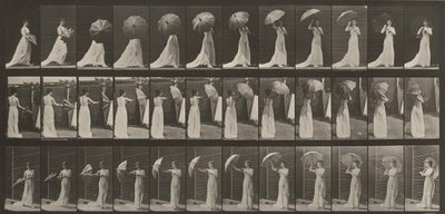 Teller Nummer 461. Einen Sonnenschirm öffnen und sich umdrehen von Eadweard Muybridge