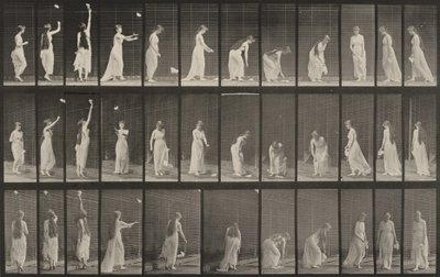 Tafel Nummer 463. Hochgreifen, Bücken und Umdrehen von Eadweard Muybridge