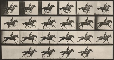 Tafel Nummer 625. "Bouquet" im Galopp von Eadweard Muybridge