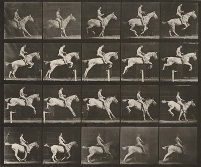 Tafel Nummer 642. "Pandora" springt über ein Hindernis, gesattelt; Reiter nackt von Eadweard Muybridge
