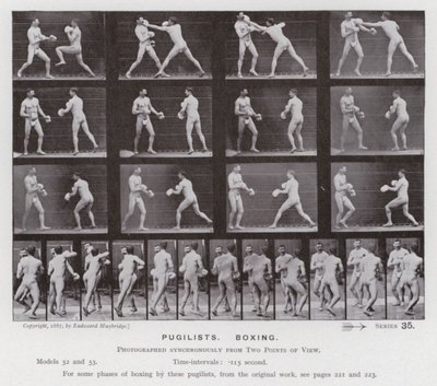 Die menschliche Figur in Bewegung: Boxer, Boxend von Eadweard Muybridge