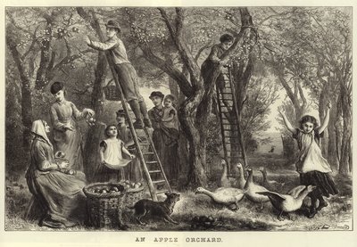 Ein Apfelgarten von Ebenezer Newman Downard