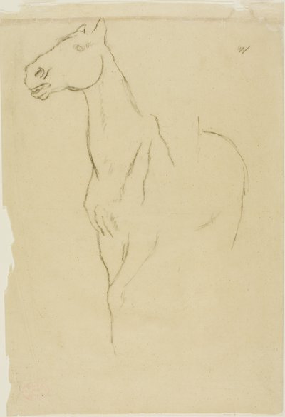 Pferd im Dreiviertelprofil von Edgar Degas